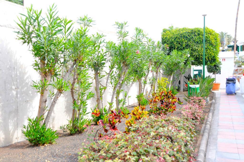 Apartamentos Niza Puerto Rico  Exterior photo
